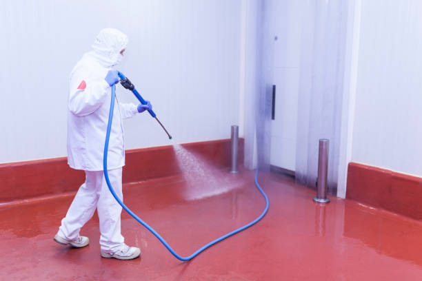 Best Heavy Equipment Washing  in Milmay, NJ