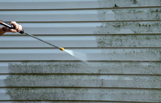 Best Fence Cleaning  in Milmay, NJ